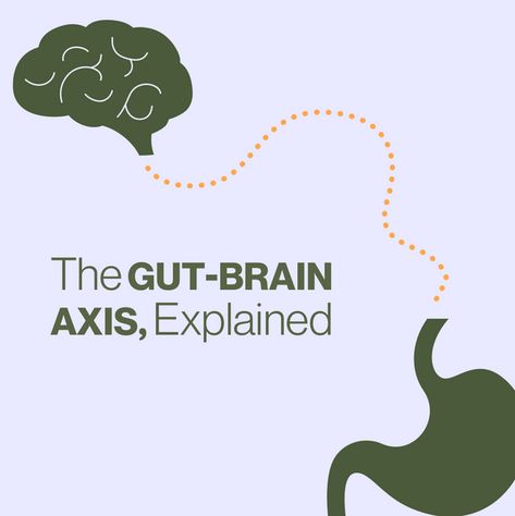 Natural remedies, backed by science. Gut Brain Axis, Trapped Gas, Brain Connections, Gut Brain, Decrease Inflammation, Stomach Issues, Vagus Nerve, Beneficial Bacteria, Stressful Situations