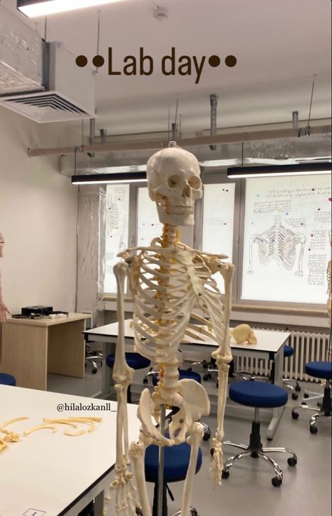 Physiology Aesthetic, Medical Physics, Anatomy Lab, Science Aesthetic, Student Aesthetic, Picture Of Doctor, Student Life Hacks, Student Planner, Anatomy And Physiology