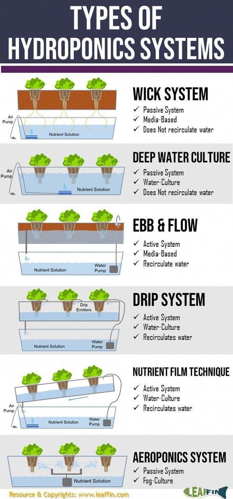 Hydroponic Gardening Diy, Hydroponic Gardening System, How To Grow Plants, Aquaponics Greenhouse, Affordable Backyard Ideas, Hydroponic Systems, Aquaponics Diy, Film Technique, Hydroponic Farming