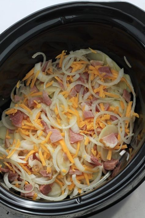 All Recipes.com, Ham Crockpot Recipes, Sliced Ham Recipes, Potato Ham Casserole, Leftover Ham Recipes Crockpot, Crockpot Potatoes, Scallop Potatoes, Ham Recipes Crockpot, Ham Casserole Recipes