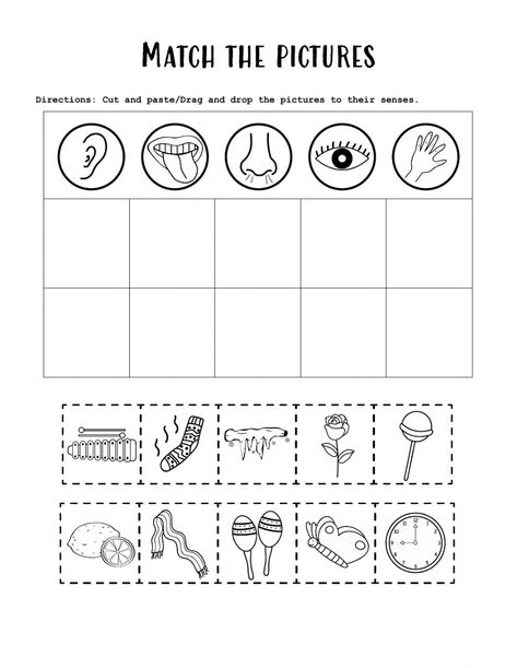 Worksheet 5 Senses, 5 Senses Worksheet For Grade 1, My Senses Worksheets, Five Senses Preschool Worksheets, 5 Senses Preschool Printables Free, Five Senses Sorting Free Printable, Five Senses Preschool Printables Free, 5 Senses Worksheet Preschool, Five Senses Worksheet Free Printable