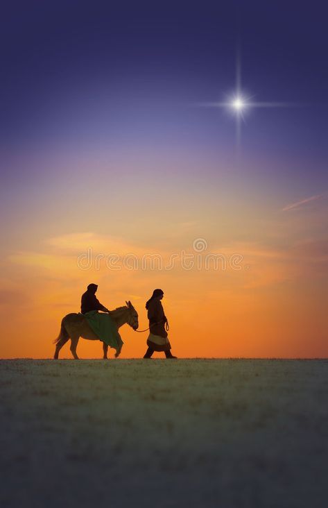 Christmas Journey. Joseph and Mary on Donkey traveling across sunset , #AFFILIATE, #Joseph, #Journey, #Christmas, #Mary, #sunset #ad Wise Men Still Seek Him, Joseph And Mary, Nativity Art, Journey To Bethlehem, Jesus Birth, Religious Christmas Cards, Christmas Prep, Mary And Joseph, Christmas Props