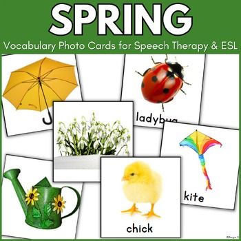 Spring vocabulary | TPT Spring Vocabulary, Kindergarten Education, Learning Vocabulary, Articulation Therapy, Elementary Teaching, Teacher Products, Spelling Activities, Vocabulary Cards, Speech Therapy Activities