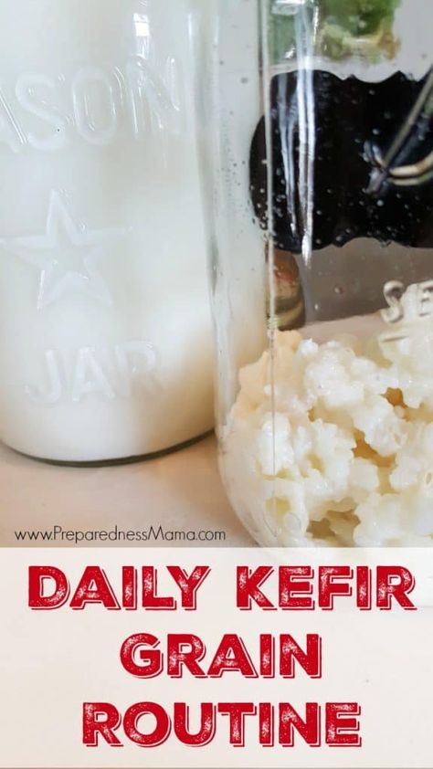 Milk Kefir Recipes, Kefir Milk, Kefir Benefits, Milk Kefir Grains, Kefir Yogurt, Milk Benefits, Kefir Recipes, Kefir Grains, Nourishing Traditions