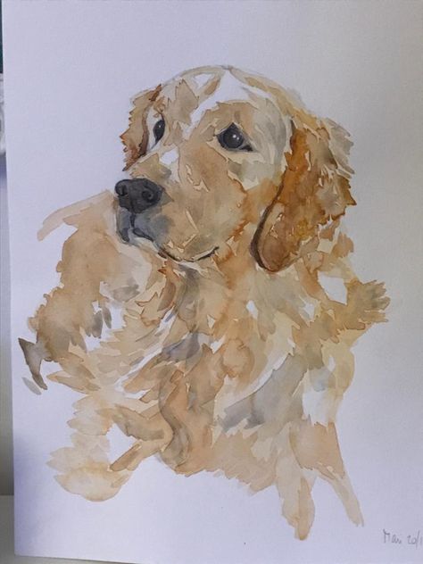 Golden Retriever Art Prints, Yellow Lab Watercolor, Golden Retriever Sketch, Golden Retriever Watercolor, Painting Clipart, Golden Retriever Painting, Dogs Watercolor, Animals Sketch, Watercolor Dogs