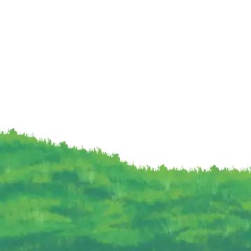 green,grass,illustration,green grass,cartoon grass,plant,green plants,spring,flowers,grass illustration,green grassland,grassland,vegetation,beautiful grass,nature,lawn,cartoon green grass,grass growth,cartoon green grass illustration,green grass cartoon illustration,midjourney,plant grass illustration,free,green leaf,season,green grass decoration illustration,outdoor grassland