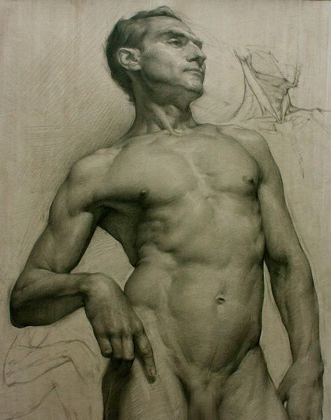 Colleen Barry, Male Figure Drawing, Academic Drawing, Master Drawing, Human Figure Drawing, Human Anatomy Art, Human Drawing, Anatomy Sketches, Drawing Studies