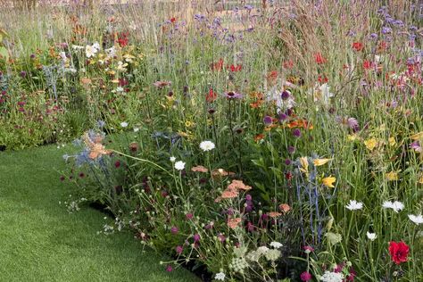 Landscape Timber Edging, Pretty Flower Garden, Flower Garden Borders, Landscape Timbers, Summer Flowers Garden, Garden Images, Wildlife Gardening, Wildflower Garden, Pretty Flower