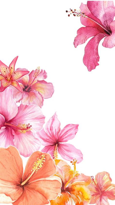 Home Screen Wallpaper Pink, Screen Wallpaper Pink, Summer Home Screen, Cute Home Screen, Wallpaper Pink And Orange, Flowers Hibiscus, Pretty Wallpaper Ipad, Home Screen Wallpaper, Cute Home Screen Wallpaper