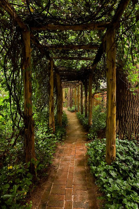 backyard sanctuaries | of Wing Haven Gardens and Bird Sanctuary in Charlotte, NC. The garden ... Witches Road, Nc Photography, Backyard Sanctuary, Location Scouting, Landscaping Backyard, Bird Sanctuary, Gardening Plants, Photo Packages, Formal Gardens