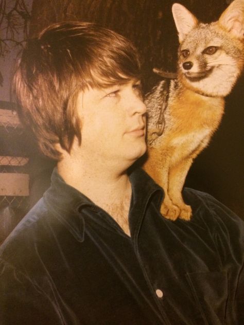 Brian Wilson Brian Wilson 60s, Pet Sounds Beach Boys, Wilson Brothers, America Band, Carl Wilson, David Marks, Dennis Wilson, Album Tracklist, Pet Sounds