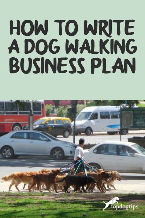 Dog Walking Business Cards, Dog Sitting Business, Dog Daycare Business, Daycare Business Plan, Pet Daycare, Pet Sitting Business, Dog Walking Services, Dog Walking Business, Living With Dogs