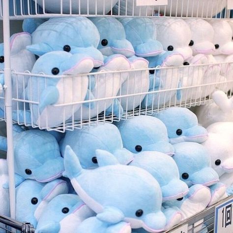 dolphin, blue, and toys image Nejire Hadou, Everything Is Blue, Baby Blue Aesthetic, Light Blue Aesthetic, Blue Aesthetic Pastel, Fotografi Editorial, Bleu Pastel, Kawaii Plush, Cute Stuffed Animals