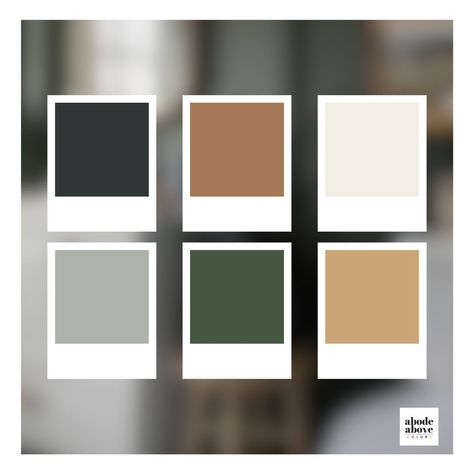 Green And Tan Bathroom, Midcentury Modern Color Palette, Interior Paint Design, Whole House Color Scheme, House Color Schemes Interior, Color Palette Sherwin Williams, Home Color Palette, Sherwin Williams Color Palette, Black Color Palette