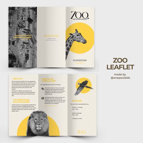 design brochure animals black white yellow aesthetic simple minimalistic graphic illustration illustrator Zoo Flyer Design, Zoo Pamphlet, Zoo Brochure Design, Graphic Design Leaflet, Layout Design Brochure, Brosure Design Layout, Business Pamphlet Design, Trifold Brochure Design Layout Creative, Zoo Flyer