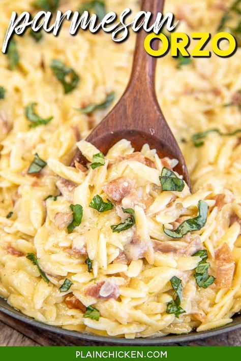 Creamy Parmesan Orzo Recipe - indulge in the delicious flavors of this creamy pasta! Orzo pasta, prosciutto, chicken broth, garlic, onion powder, and parmesan cheese. Whether served as a comforting main course or a side dish, this recipe is sure to impress. Pair it with your favorite protein and roasted vegetables for a complete and well-rounded meal. Creamy Parmesan Orzo, Pasta Prosciutto, Prosciutto Chicken, Plain Chicken Recipe, Orzo Pasta Recipes, Parmesan Orzo, Prosciutto Recipes, Orzo Recipe, Pasta Side Dishes