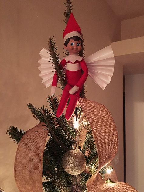 Elf On A Christmas Tree, Elf On A Shelf Tree Ideas, Elf On Tree Ideas, Elf On The Shelf On Christmas Tree, Elf On The Shelf Tree Decorating, Elf On Christmas Tree, Elf In The Tree Ideas, Elf On The Shelf Nintendo Switch, Christmas Tree Elf On The Shelf