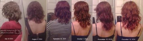 Hair Growth In 3 Months, Hair Growth Chart In Months, Hair Growth Chart, Appearance Goals, Hair Growth Progress, Hair Growth Charts, Split Hair, Wide Tooth Comb, Growth Chart