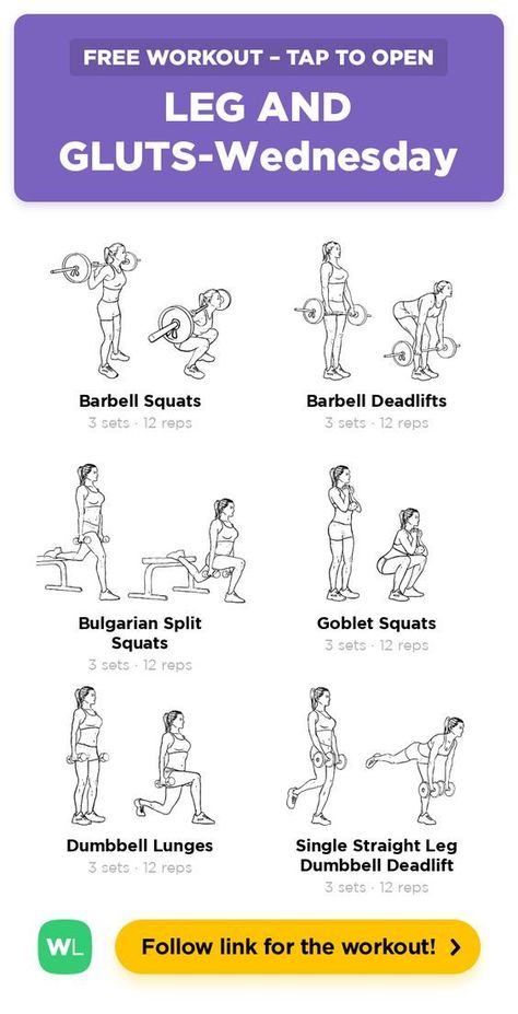 Weights Home Workout, Free Gym Workout Plan, Effective Leg Workouts Gym, Weight Training Legs And Glutes, Leg Free Weight Workout, Leg Gym Routine, Workouts For Legs With Weights, Printable Glute Workout, Leg Weight Workout Gym