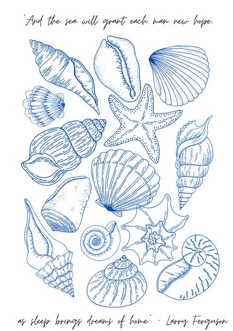 Sea Theme Drawings, Seashell Drawing Aesthetic, How To Draw An Anchor, Seastar Drawing, Shell Aesthetic Wallpaper, Sting Ray Drawings, Sea Creature Drawing, Sea Shell Illustration Drawings, Seashells Illustration