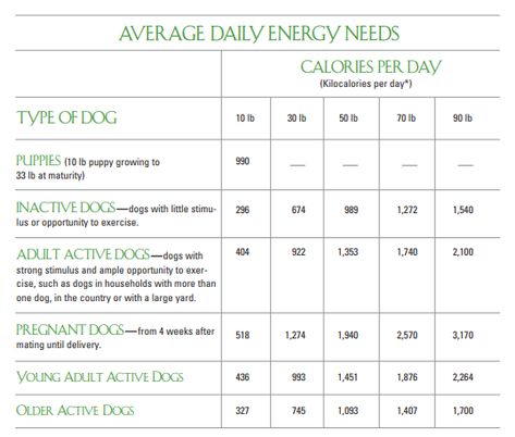 Serving Size Chart, Food Portion Sizes, Home Cooked Dog Food, Make Dog Food, Grain Free Dog Food, Spoiled Dogs, Dog Treats Homemade Recipes, Raw Dog Food Recipes, Dog Diet