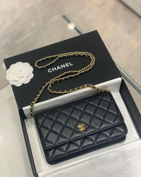 My WOC in lambskin leather and gold hardware is effortlessly chic ✨, this little beauty carries all I need and takes my look from day to night. #ChanelLove #LuxuryLife #WardrobeStaple Chanel Bags Black, Platform Shoes Sandals, Chanel Woc, Chanel Crossbody, Triangle Bag, Bags Black, Round Bag, Clutch Pouch, Zipper Bag