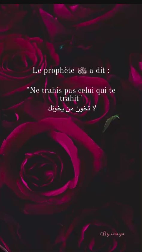 Muslim Couple Quotes, Muslim Lifestyle, Allah Islam, Muslim Quotes, Quran Verses, Islamic Calligraphy, Quran