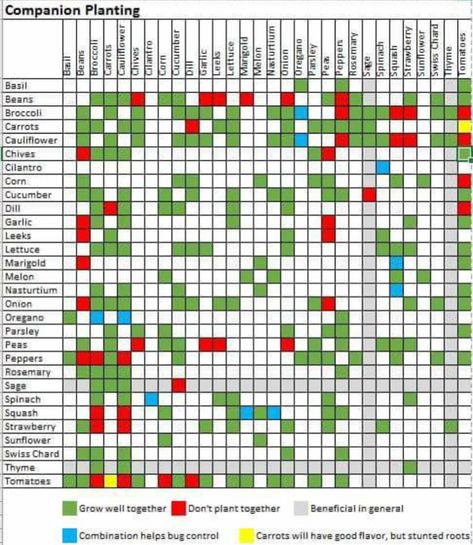 what to plant with what Companion Planting Guide, Companion Planting Chart, Diy Jardin, Gardening For Dummies, Gardening Videos, Companion Gardening, Garden Companion Planting, Growing Tomatoes In Containers, Square Foot Gardening