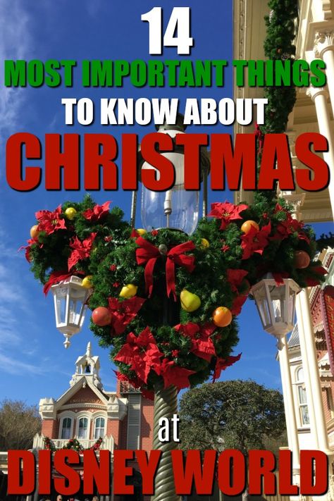 Christmas At Disney World, Disneyworld Tips, Park Parties, Disney Christmas Vacation, Disney Stores, Nemo Disney, Scrapbook Disney, Disney World Christmas, Babies Stuff