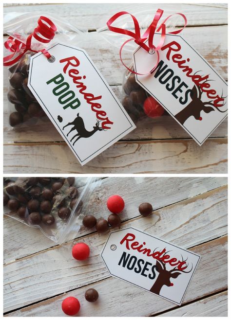 reindeer noses….and poop. cause i’m young at heart. printables! Class Presents, Rudolph Party, Christmas Buckets, Funny Christmas Tags, Christmas Homeschool, Reindeer Party, Christmas Grotto, Reindeer Poop, Christmas Fair Ideas