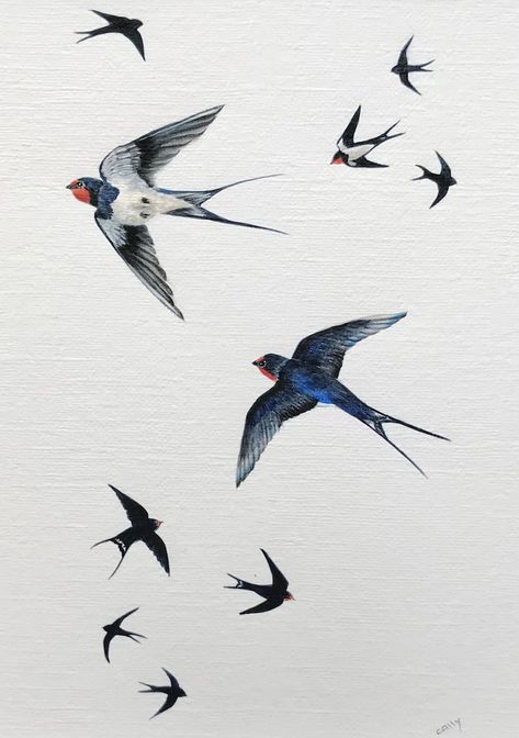 Barn Swallow Blank Greetings Card Bird Fine Art | Etsy UK Swallow Illustration Vintage Birds, Flying Bird Art Painting, Bird Painting Flying, Swallow Bird Photography, Swallow Bird Illustration, Barn Swallow Drawing, 2 Birds Drawing, Birds Flying Painting, Bird Flying Drawing