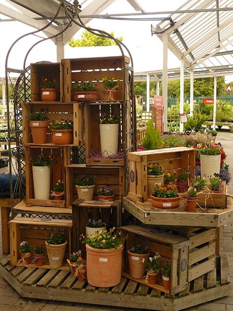 Tree Display Retail, Greenhouse Display Ideas, Garden Shop Display, Garden Centre Displays, Greenhouse Display, Flower Shop Display, Garden Center Displays, Plant Display Ideas, Succulent Display