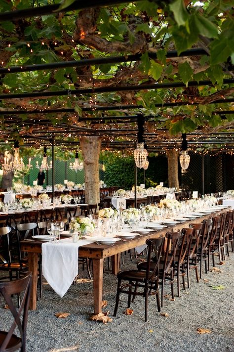 Outdoor Dinner Party Creative Engagement Party Ideas, Beaulieu Garden Wedding, Beaulieu Garden, Outdoor Dinner Parties, Napa Valley Wedding, Romantic Garden Wedding, Napa Wedding, Outdoor Dinner, Festa Party