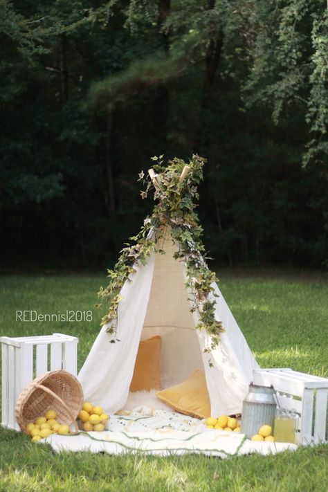 Easter Tent Photoshoot, Lake Mini Session Ideas, Tent Photoshoot Ideas, Teepee Photo Shoot Mini Sessions, Summer Session Ideas, Lemonade Stand Mini Session, Boho Teepee Photoshoot, Spring Session Photography, Wildflower Mini Session