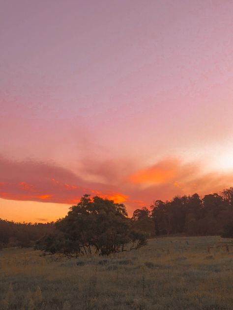 nature sunset wallpaper pretty beautiful meadow aesthetic Backyard Sunset, Meadow Sunset, Sunset Meadow, Farm Sunset, Colourful Nature, Farm Aesthetic, Sunrise Wallpaper, Trees Wallpaper, Sunrise Colors