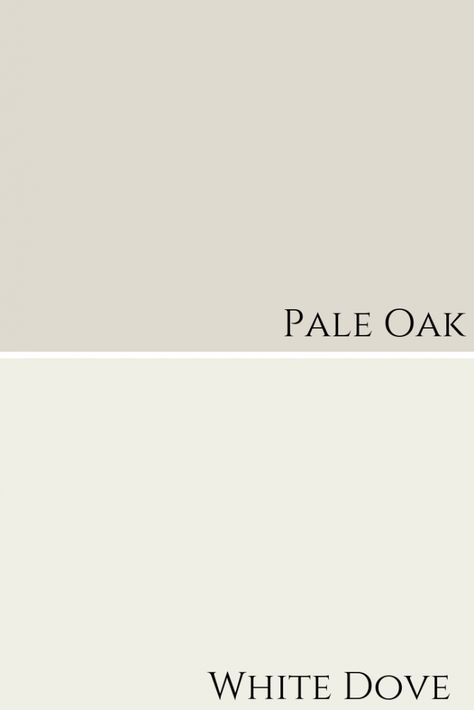 Pale Oak by Benjamin Moore Colour Review - Claire Jefford Pale Oak Paint, Pale Oak Benjamin Moore, Pale Oak, Paint Colors Benjamin Moore, Benjamin Moore Colors, Benjamin Moore Paint, White Dove, Favorite Paint, Paint Colour