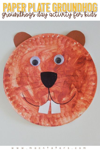 Ground Hog Day Crafts, Groundhog Craft, Groundhog Day Craft, Groundhog Activities, Preschool Groundhog, Groundhogs Day, Groundhog Day Activities, Ground Hog, February Crafts