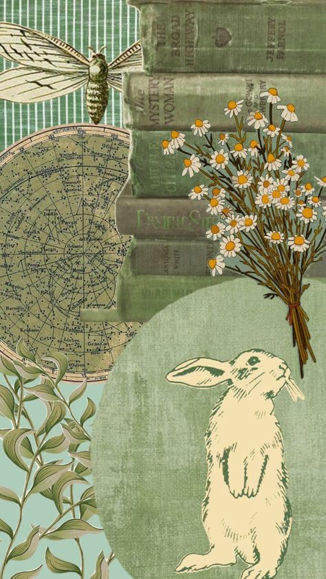 #rabbit #bunny #bunnyrabbit #green #greenvintage #greenaesthetic #greenvintageaesthetic #vintage #flowers Green Rabbit Aesthetic, Rabbit Art Aesthetic, Rabbit Aesthetic Wallpaper, Rabbit Collage, Polaroid Collage, Easter Aesthetic, Rabbit Wallpaper, Green Rabbit, Vintage Bunny