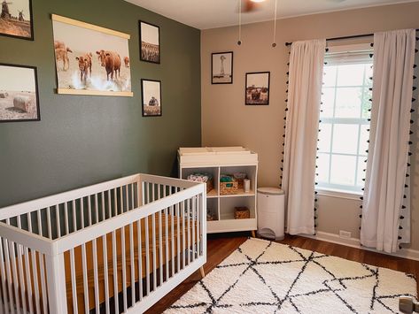 Cow Theme Nursery Gender Neutral, Green Cow Nursery, Cow Rug Nursery, Neutral Cow Nursery, Western Nursery Accent Wall, Western Nursery Color Pallet, Nursery Ideas Cowboy, Ranch Style Nursery, Green Western Nursery