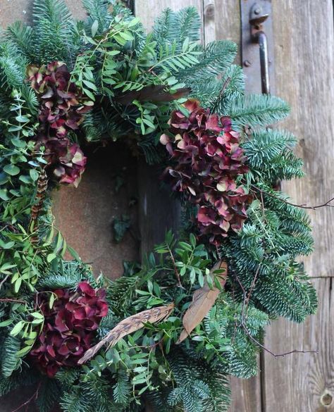 Make a contemporary Christmas wreath - From Britain with Love Hydrangea Christmas, Wreath Workshop, Outdoor Christmas Planters, Christmas Wreath Decor, Floribunda Rose, Coffee And Cake, Red Hydrangea, Fruit Fruit, Pheasant Feather