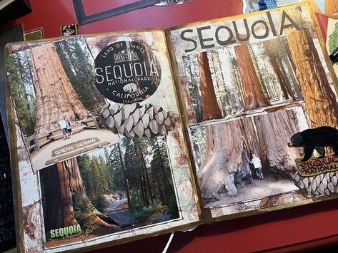 Sequoia National Park National Park Scrapbook, Sequoia National Park California, California National Parks, Sequoia National Park, Scrapbook Pages, National Park, National Parks, Scrapbooking, Book Cover