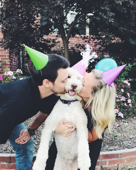 Dogs First Birthday Party Ideas, Puppies 1st Birthday, Puppy 1st Birthday Photo Shoot, Puppys First Birthday, Birthday For Dogs Ideas, Dog 1st Birthday Photoshoot, 1st Dog Birthday Ideas, Goldendoodle Birthday Party, Dog Birthday Photoshoot Ideas At Home