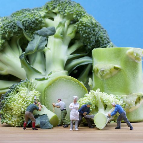 broccoli | Flickr - Photo Sharing! Macro Fotografie, Tatsuya Tanaka, Miniature Calendar, Miniature People, Photo Macro, Miniature Photography, Kumamoto, Tiny World, Art Japonais