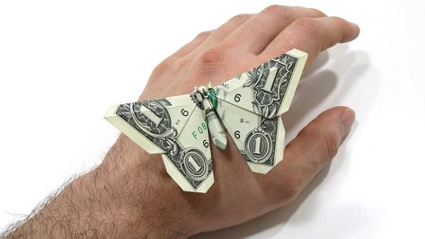 Dollar Bill Butterfly - Michael LaFosse | Video tutorial her… | Flickr Dollar Bill Butterfly, Origami Butterfly Instructions, Origami Dollar Bill, Fold Dollar Bill, Easy Money Origami, Money Origami Tutorial, Origami Butterfly Easy, Origami Dollar, Folding Money