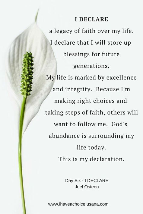 Bible Declarations, Joel Osteen Quotes, Deliverance Prayers, I Declare, Christian Affirmations, Angel Prayers, Questions To Ask Yourself, Business Network, Network Marketing Business