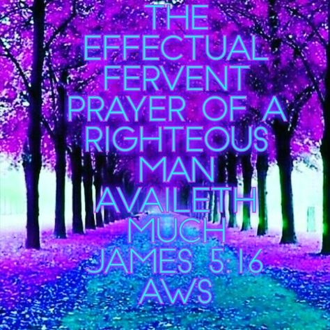 Confess your faults one to another, and pray one for another, that ye may be healed. The effectual fervent prayer of a righteous man availeth much.  James 5:16 KJV The Prayers Of A Righteous Man, James 5:16, James 5 16, The Effectual Fervent Prayer, Healing Bible Verses, Fervent Prayer, James 5, Favorite Scriptures, Bible Study Lessons