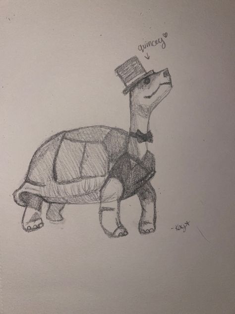 turtles and fancy things Happy Turtle Drawing, Funny Turtle Drawings, Top Hat Sketch, Animals Doing Human Things Drawing, Good Drawing Ideas Sketches, Turtle Drawing Simple, Turtle Sketches, Funny Animal Drawings, Top Hat Drawing