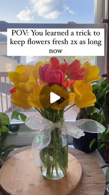 Thuy Improta on Instagram: "🌸 A Must-Know Trick for This Spring! 🌸  🌼 Keep your flowers fresh longer with this simple hack 🌼  Follow @ministry_from_home for more homemaking   Did you know about this ? My mom always told me to add sugar, but I recently discovered the vinegar trick too!  Here’s how it works:  1. Cut the stems of your flowers at a 45-degree angle. 2. Trim any leaves that will be submerged in water. 3. In a vase, mix 2 tablespoons of sugar and 2 tablespoons of vinegar for every 1 liter of lukewarm water. 4. Place your flowers in the vase filled with the sugar-vinegar solution.  The sugar nourishes the plants, while the vinegar inhibits bacterial growth, helping your flowers stay fresh longer!  Give it a try and enjoy your beautiful, long-lasting flowers! 💐🌺🌼 trick too! Flower Tips, Water Mixes, Flower Care, Flower Arranging, Stay Fresh, April 15, Simple Tricks, Your Beautiful, Flower Vases