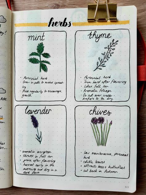 Garden Scrapbook Ideas, Witchcraft Journal Ideas, Plant Journal Ideas, Garden Journal Ideas, Garden Bullet Journal, Homestead Organization, Homestead Journal, Scrap Gardening, Gardening Journal Printables