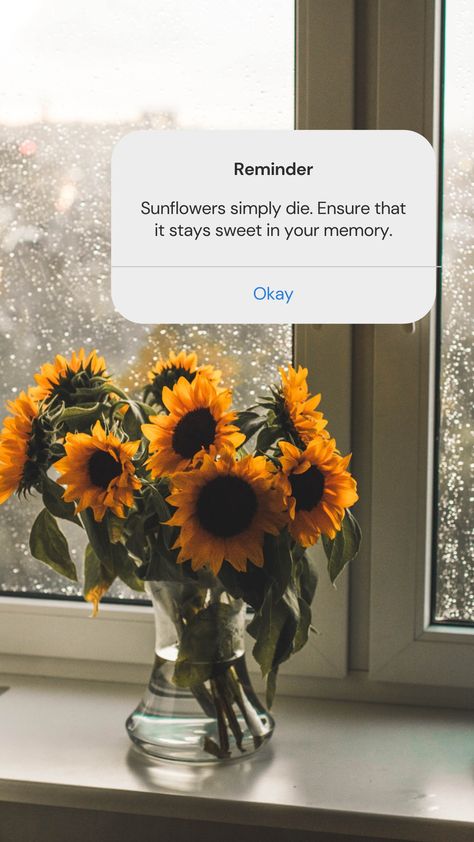 #harrystyles #onedirection #sunflowers #wallpaper #motivational #lockscreen #pastel #quotes #lyrics Sunflower Motivational Quotes, Sunflower Aesthetic Quotes, Sunflower Lockscreen, Sunflower Captions, Sunflower Lyrics, Motivational Lockscreen, Sunflowers Wallpaper, Pastel Quotes, Sunflower Quotes